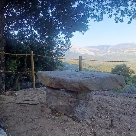 Casa Lucia Campagna Relax Vendégház Dorgali Kültér fotó
