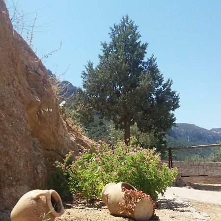 Casa Lucia Campagna Relax Vendégház Dorgali Kültér fotó