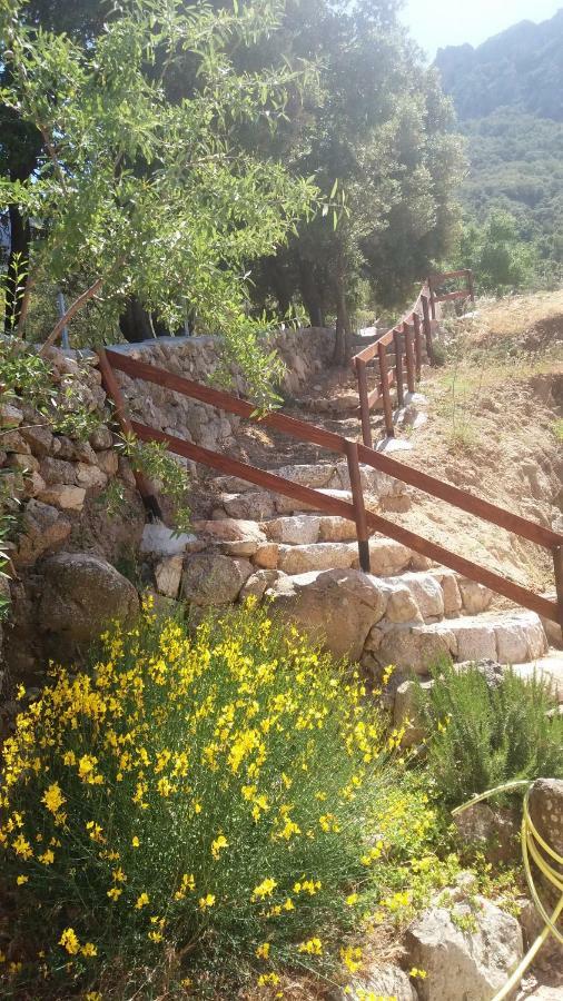 Casa Lucia Campagna Relax Vendégház Dorgali Kültér fotó