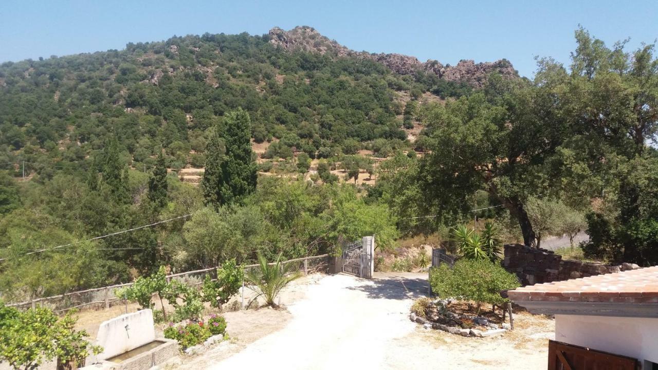 Casa Lucia Campagna Relax Vendégház Dorgali Kültér fotó